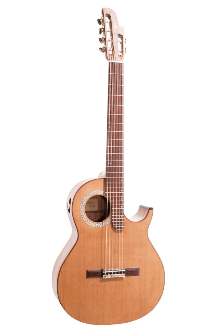 Gitarre JaZZ-Bariton