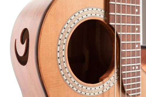 Gitarre JaZZ Bariton