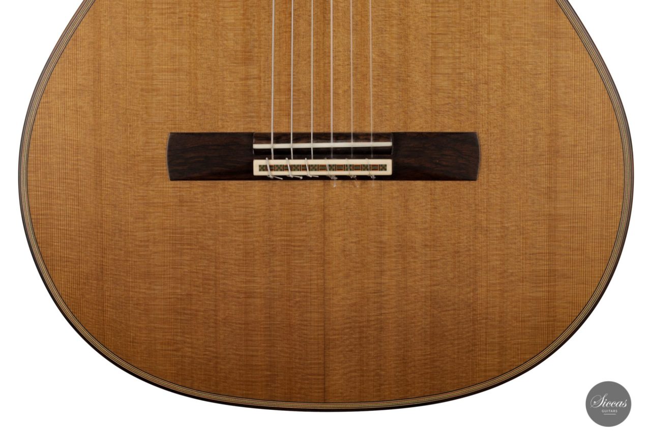 Daniel Stark Performer 2021 2