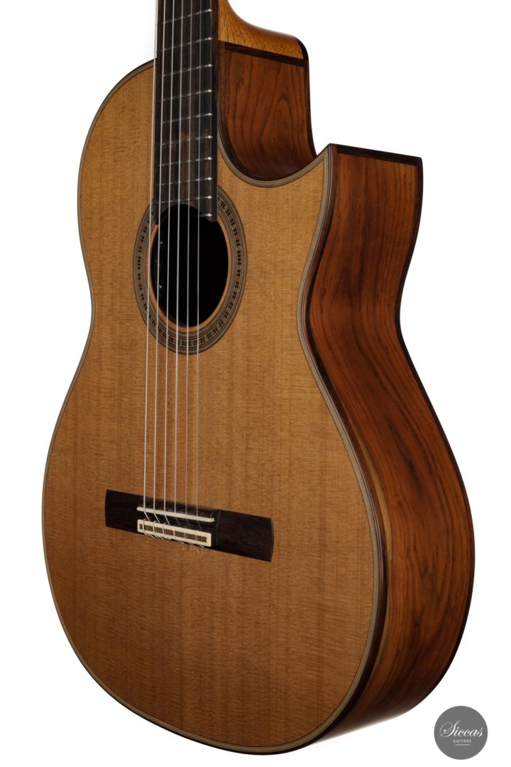 Daniel Stark Performer 2021 22