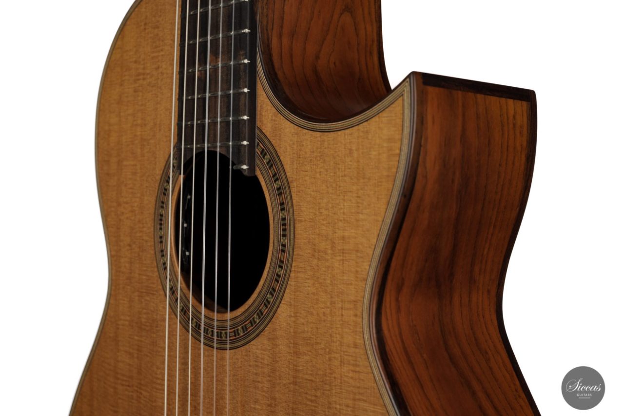 Daniel Stark Performer 2021 3