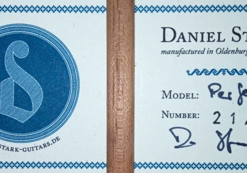 Daniel Stark Performer 2021 30