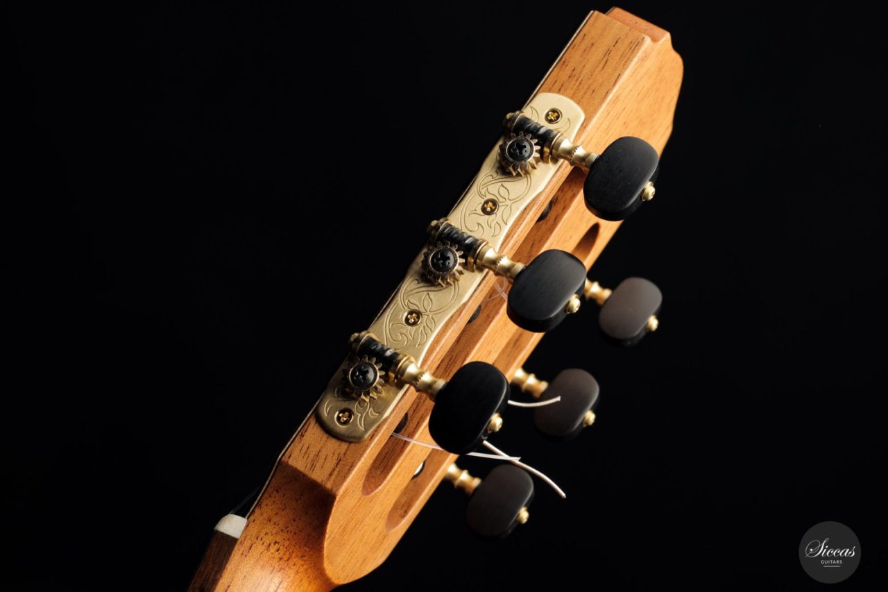 Daniel Stark Performer 2021 6