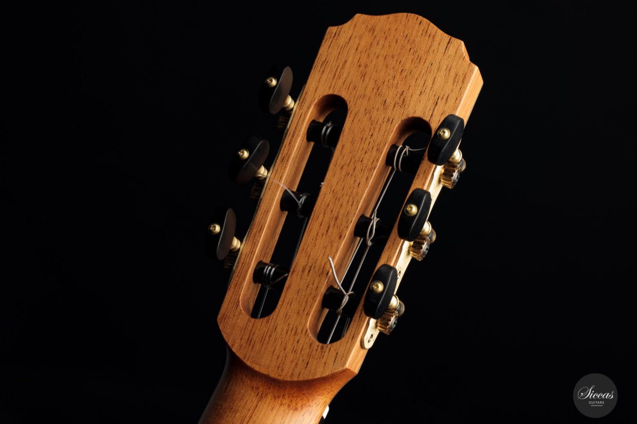 Daniel Stark Performer 2021 7