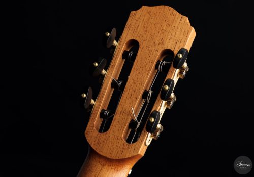 Daniel Stark Performer 2021 7