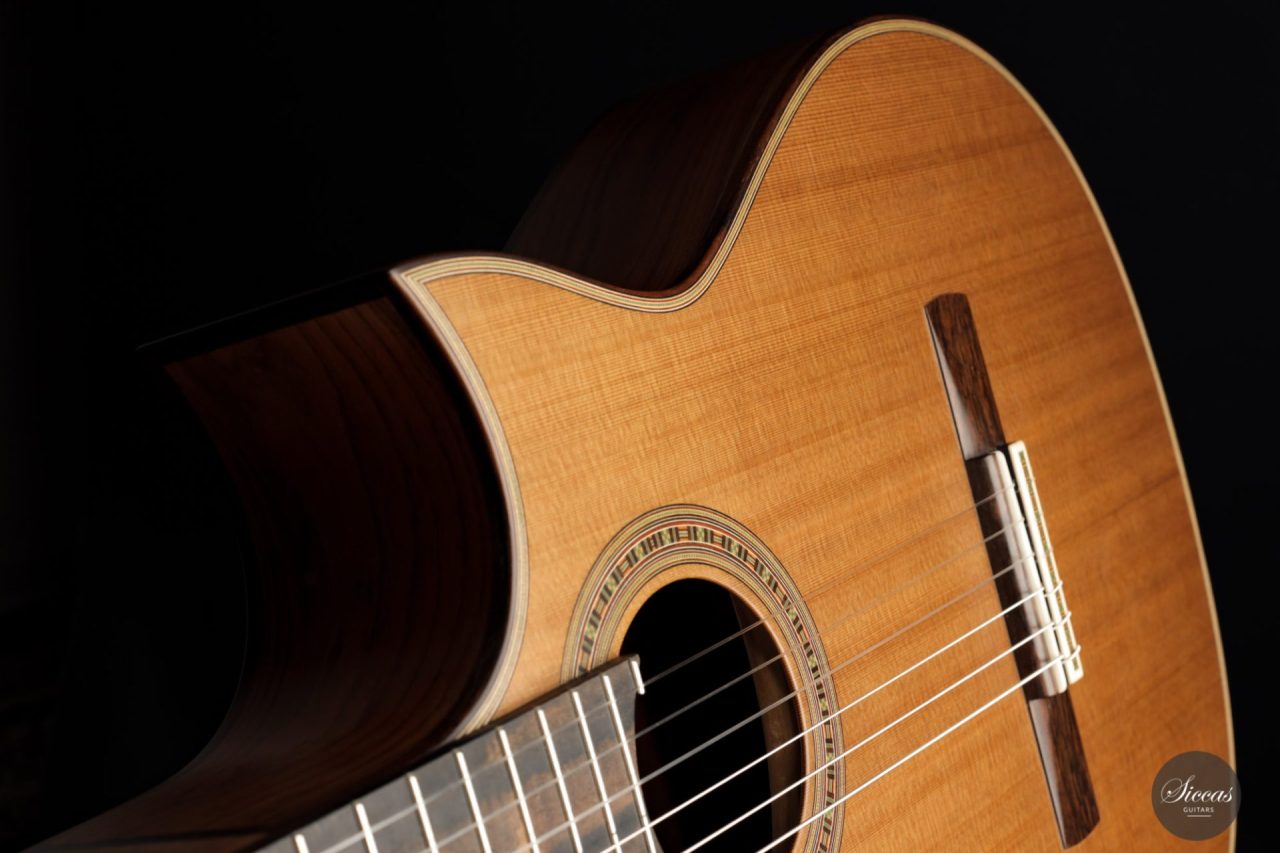 Daniel Stark Performer 2021 9