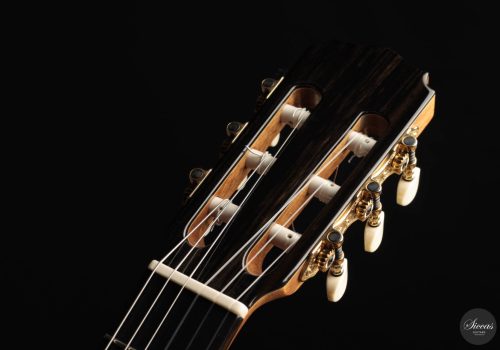 Daniel Stark – 2023 Performer II Spruce 8