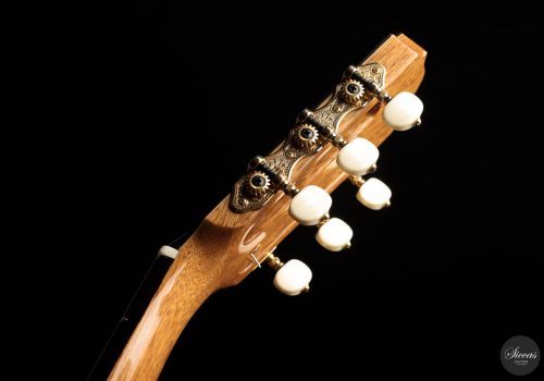 Daniel Stark – 2023 Performer II Spruce 9