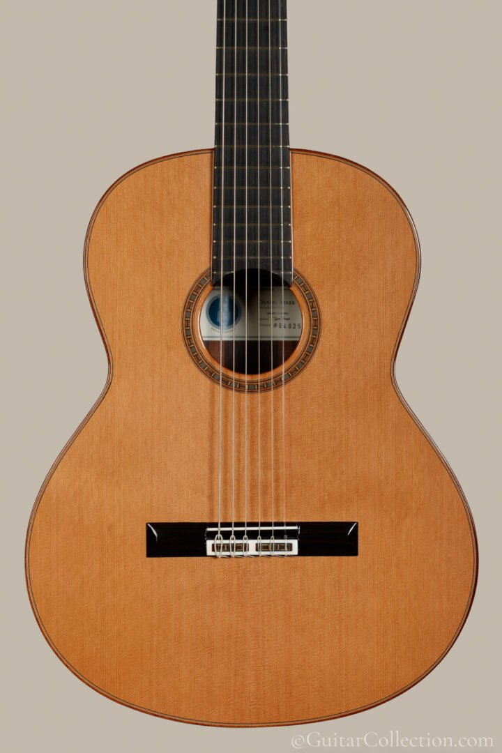 Daniel Stark Baritone Guitar Studio